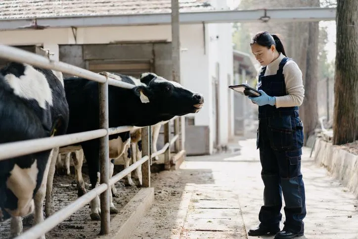 World Class Quality Management System